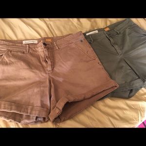 Anthropologie Pilcro Hyphen 32 Tan/Green Shorts